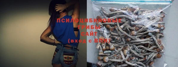 не бодяженный Аркадак
