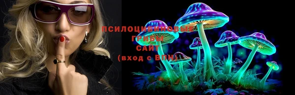 не бодяженный Аркадак