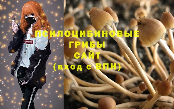 не бодяженный Аркадак