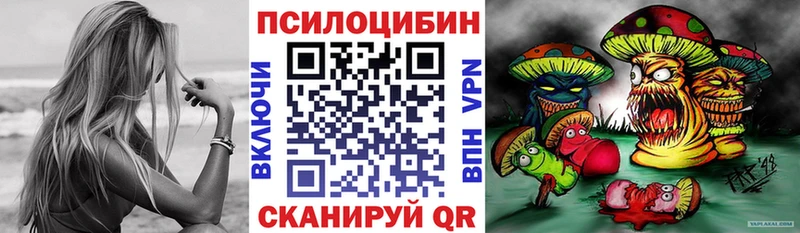 Псилоцибиновые грибы Cubensis  Купить закладки  Бавлы 