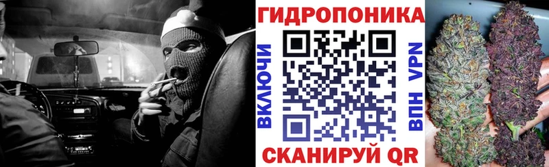 Каннабис SATIVA & INDICA Бавлы